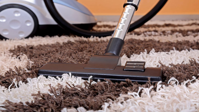 Revitalize Your Home with Expert Carpet Cleaning in Elk River, MN