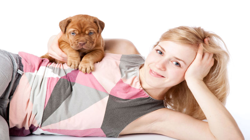 Four Benefits of Boarding a Pet With an Animal Care Specialist