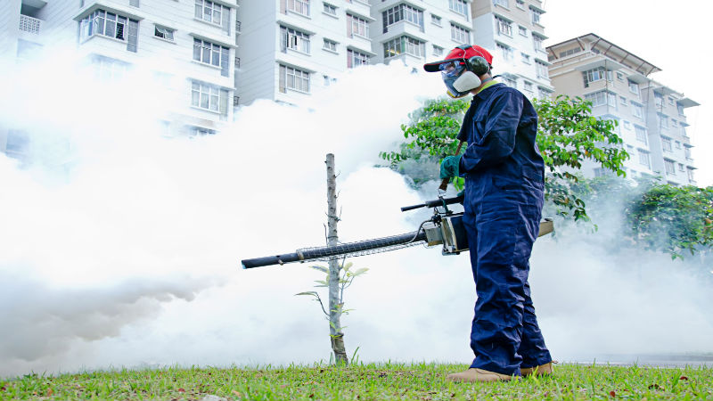 A Pest Control Company That Can Effectively Eliminate Termites