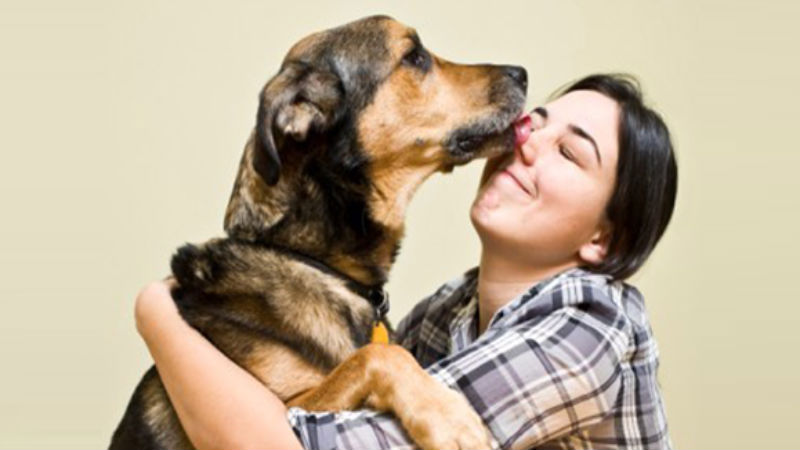 Reviews Can Help You Choose The Best Veterinarians