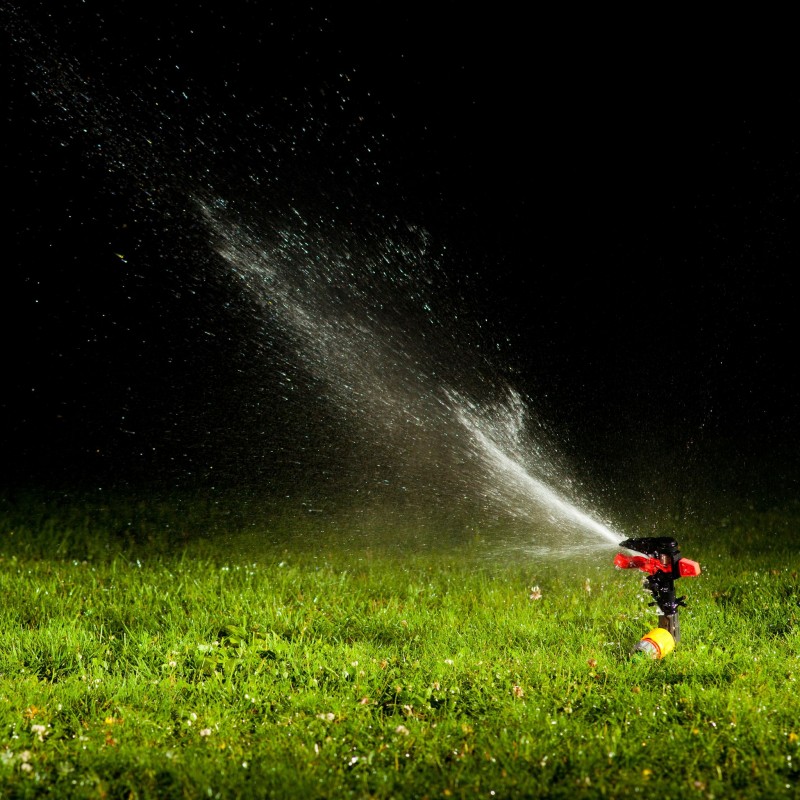 Signs a Sprinkler Repair in Spokane Is In Order