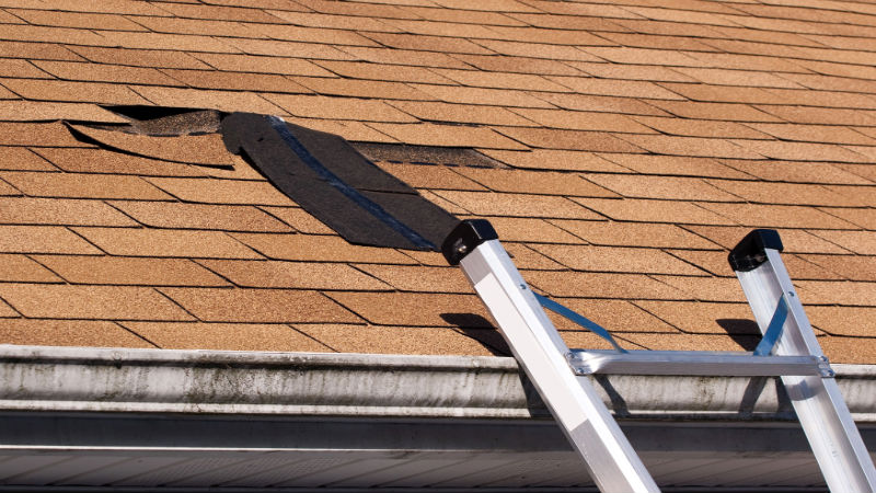 Eliminate Leaks and Further Avoid Damage With Quality Roof Shingle Repair in Topeka KS