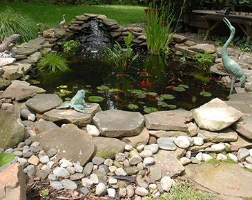 Aquascapes in Waukesha WI are the Perfect Addition to any Home