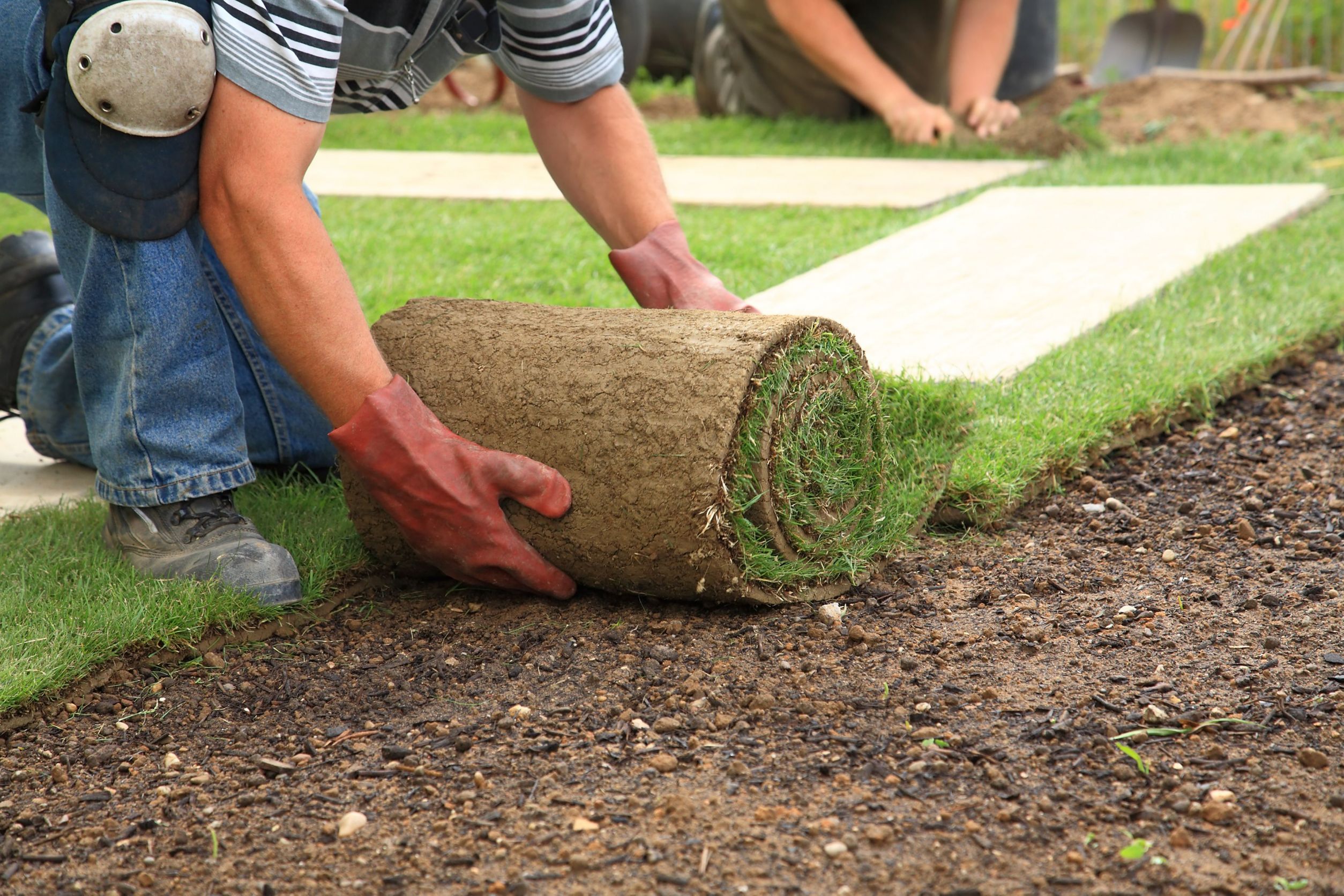 Instant Lawn Installers in Ashburn, VA Offer a Compelling Alternative to Seed